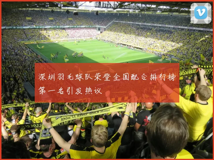 深圳羽毛球队荣登全国配合排行榜第一名引发热议