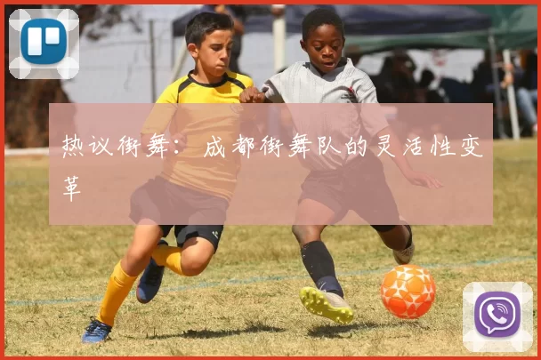 热议街舞：成都街舞队的灵活性变革