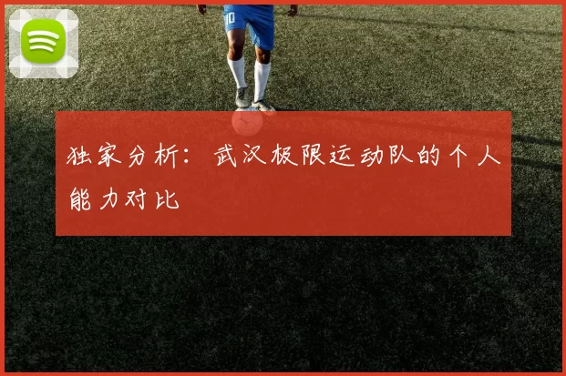 独家分析：武汉极限运动队的个人能力对比